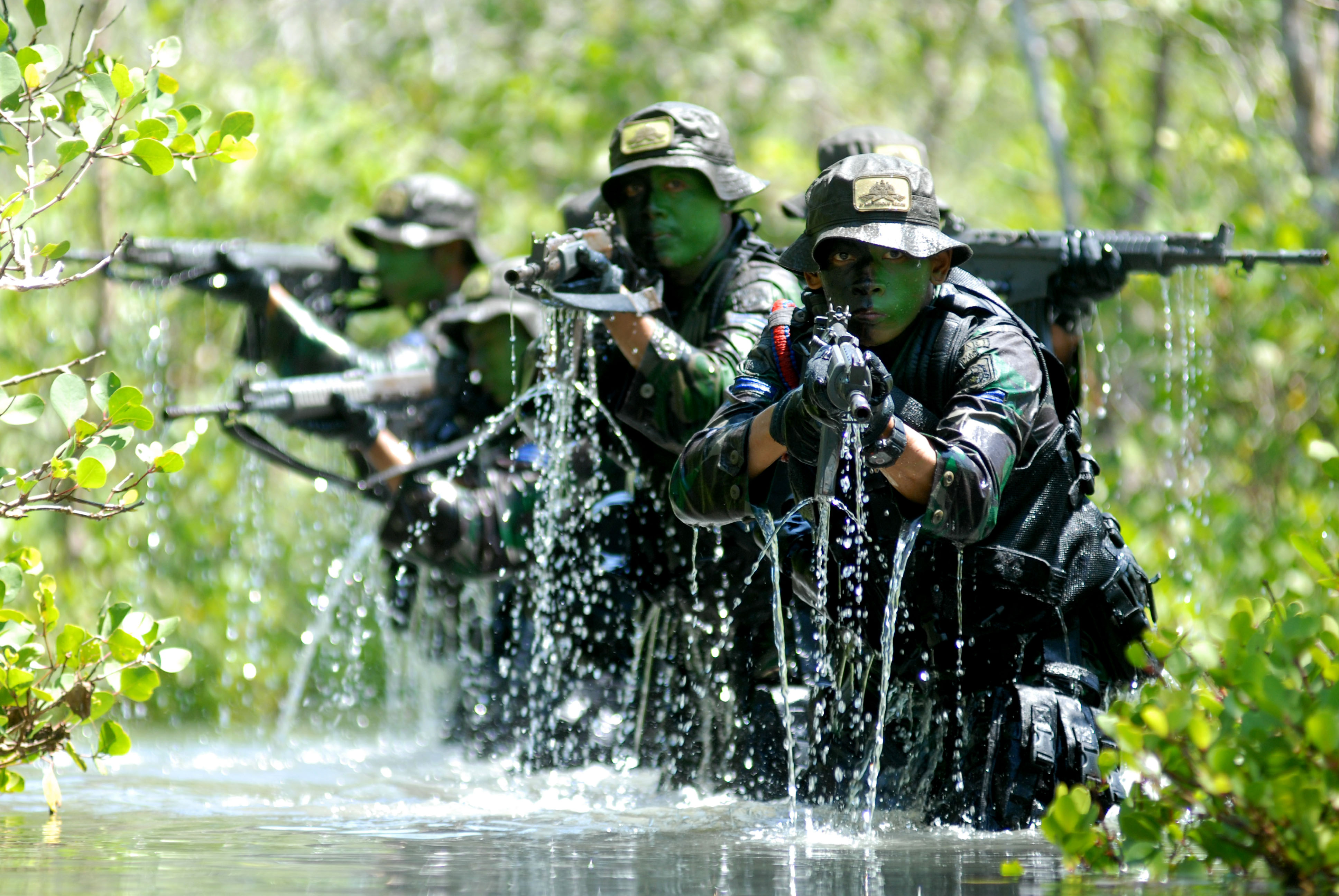 TNI Gelar Patroli Taman Nasional Tesso Nilo - Harian Riau (Siaran Pers)