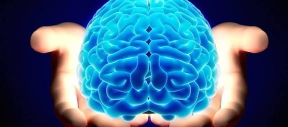 Tujuh Tips Cara Ningkatkan Kinerja Otak