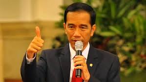 Miliki SDA Melimpah, Jokowi Berniat Kunjungi Inhil