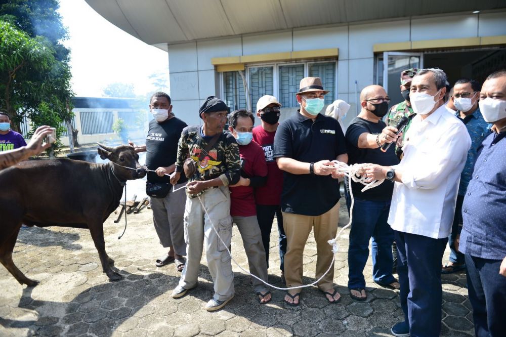 Serahkan Sapi Kurban ke PWI Riau, Gubri: Semoga Dapat Bermanfaat