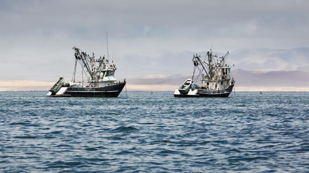 Di Rohil Marak Ilegal Fishing, Legislator Minta Polres Patroli Rutin