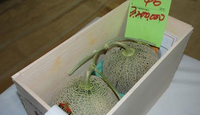 WAW!!! Harga Sepasang Melon Ini Kalahkan Satu Unit Mobil SUV Baru