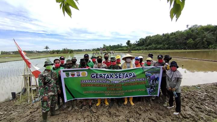 Gapoktan Mekar Sari, Gertak Setapa Musim Tanam Padi