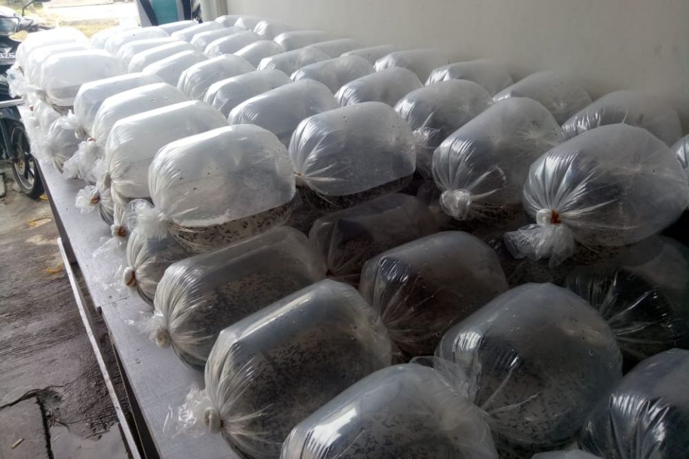 KKP dan Pemprov Riau dongkrak Produktivitas Kampung Kakap Putih Kepulauan Meranti