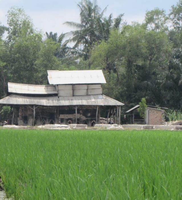 Beras Riau Banyak Dijual ke Luar Daerah