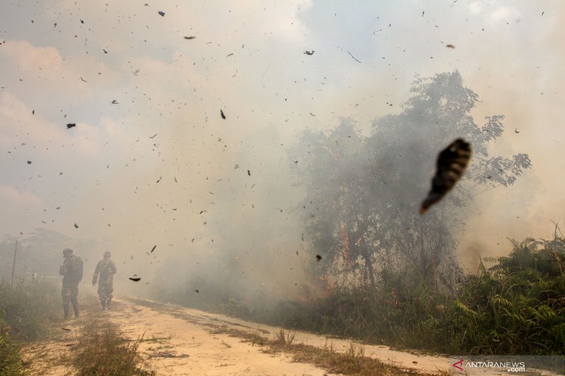 Pemadaman Kebakaran Gambut Perkampungan Indragiri Hilir Terkendala Angin Kencang