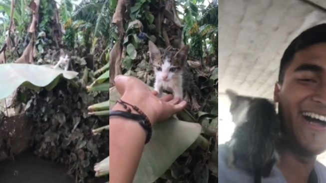 Aksi Pria Selamatkan Kucing yang Terjebak Banjir ini Viral