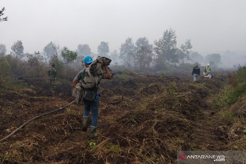 Enam Kecamatan di Inhil Pesisir Riau Dilanda Kebakaran Lahan dan Terus Meluas