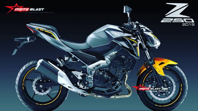 Kawasaki Siapkan Ninja 250 Versi Naked