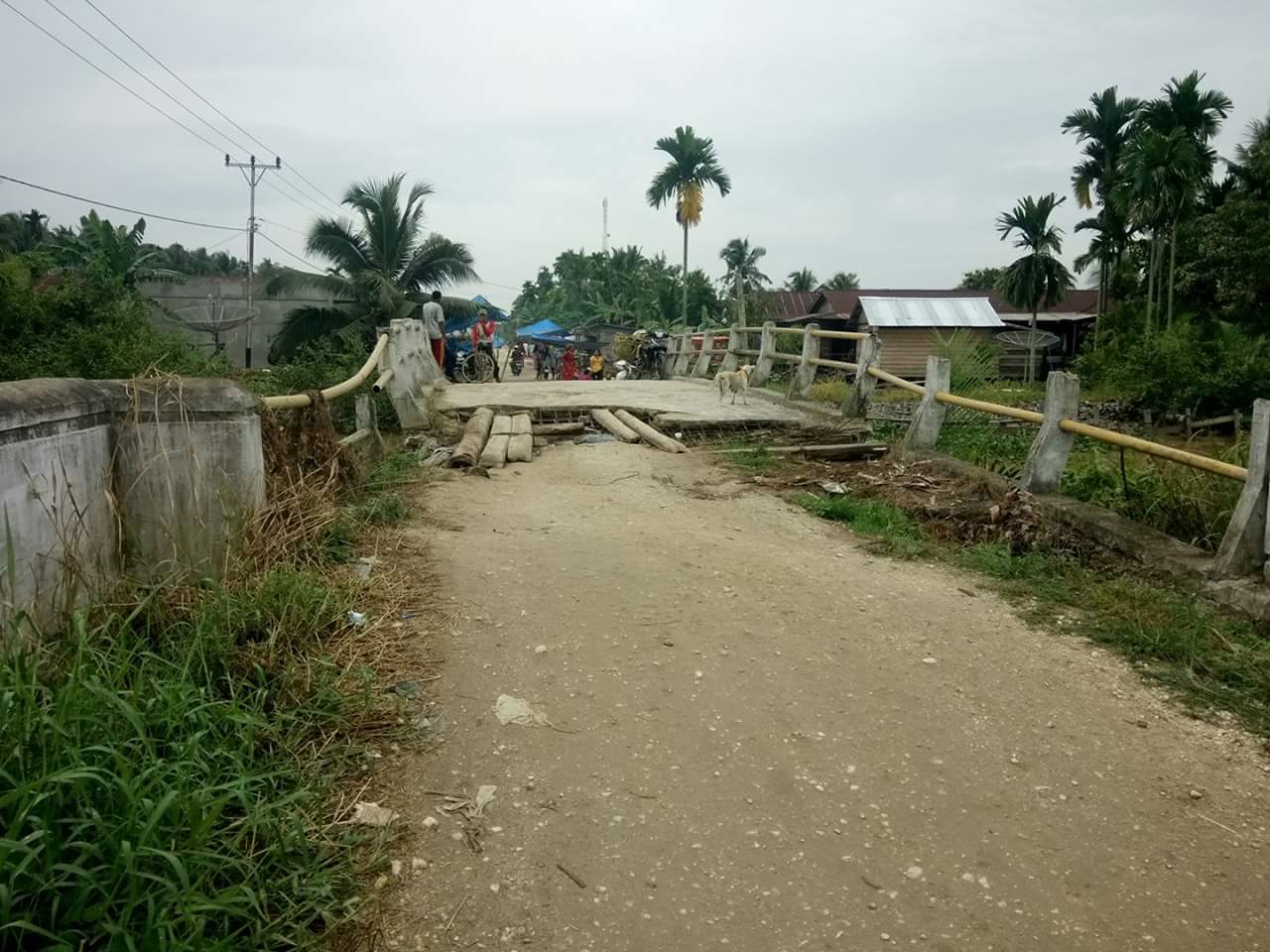 Akses Jalan Dua Kecamatan di Inhil Terancam Putus