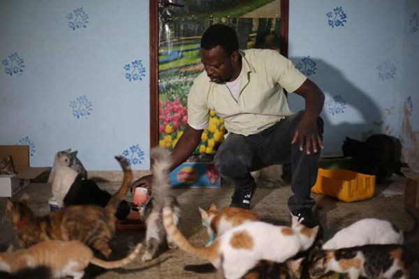 Di Tengah Kesulitan, Pria Palestina Ini Rawat Hewan Korban Serangan Bom Israel