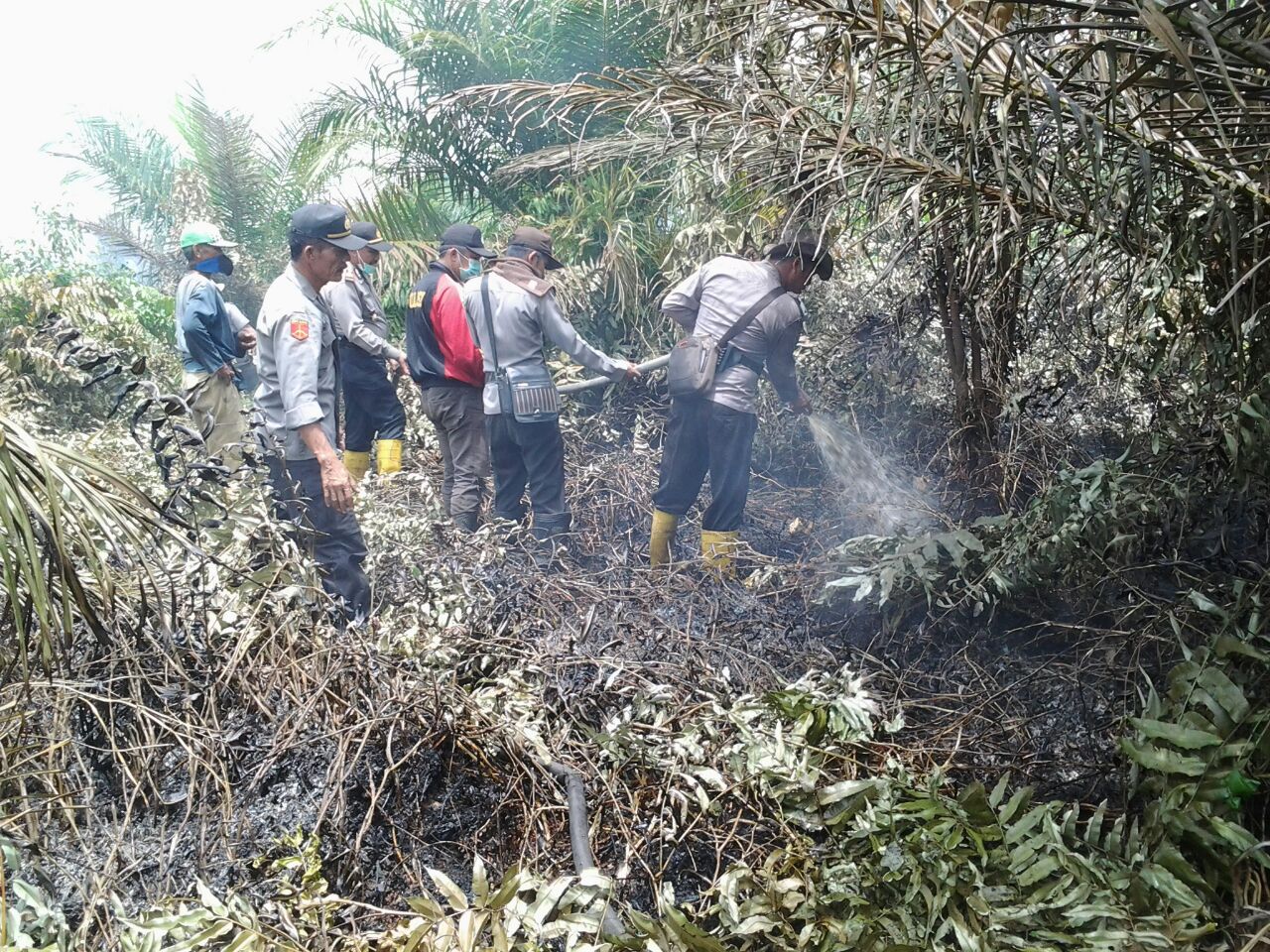 Bersama Masyarakat, Polres Rohil Lakukan Pemadaman Karlahut di Desa Siarang-arang