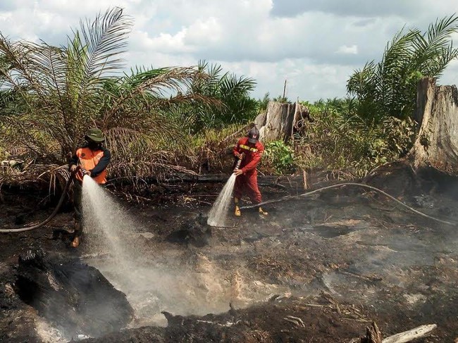 Kebakaran Lahan di Riau, BNPB Segera Tambah Pasukan 2 SSK