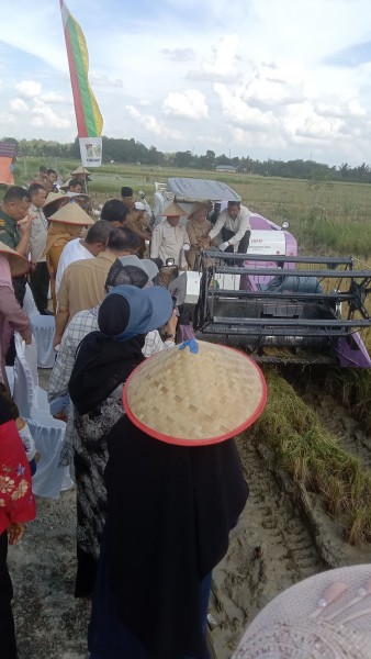 Panen Raya Padi Sawah Inovasi IPAT-BO Kelompok Tani Takbau 1 Sekaligus Penyerahan Alat Pertanian