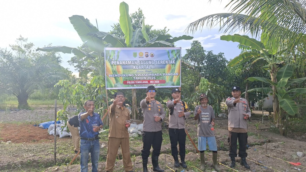 Komitmen Ketahanan Pangan, Kapolsek Tembilahan Tanam Jagung Bersama Warga Pekan Arba