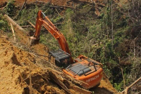 DLHK Riau Kecewa Hakim PN Pekanbaru Kabulkan Praperadilan Tersangka Perambah Hutan