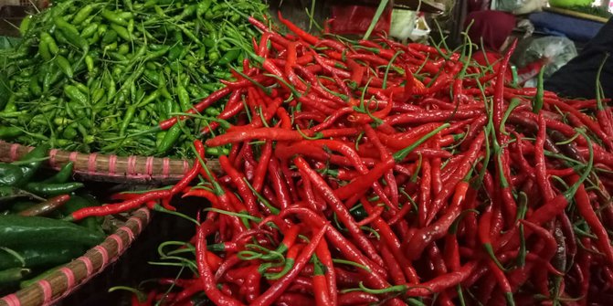 Akhir Pekan Ini, Harga Cabai Naik Rp4 Ribu per Kilogram