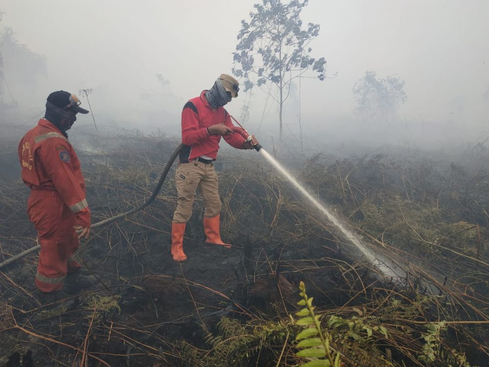 Laporan Harian BPBD Riau Terkait Karhutla di Riau