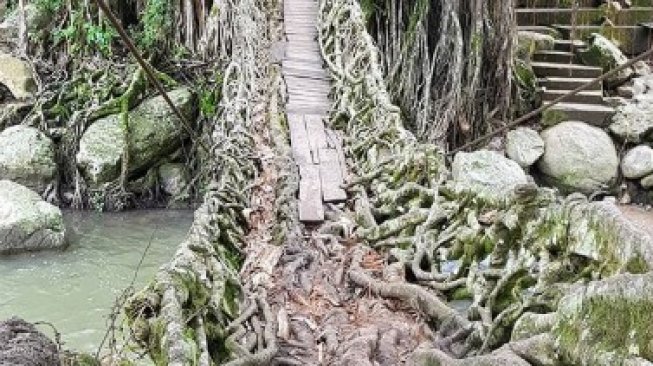 Uniknya Jembatan Akar Bayang di Padang, Bak Latar Film Jumanji