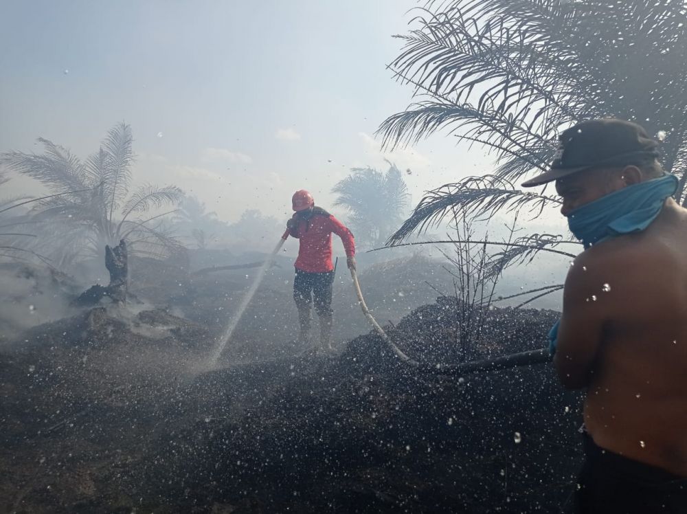 9 Orang Jadi Tersangka Kasus Kebakaran Lahan di Riau
