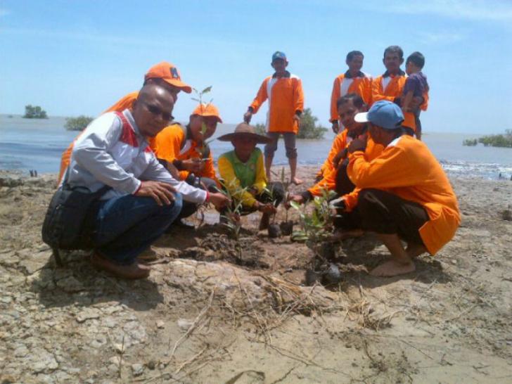 Mangrove Mampu Melindungi Daerah Pantai