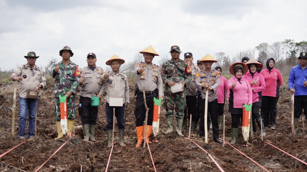 Kabupaten Inhil Dapat Alokasi 53.000 Hektar, Penanaman Perdana Jagung Dimulai di Kuala Sebatu