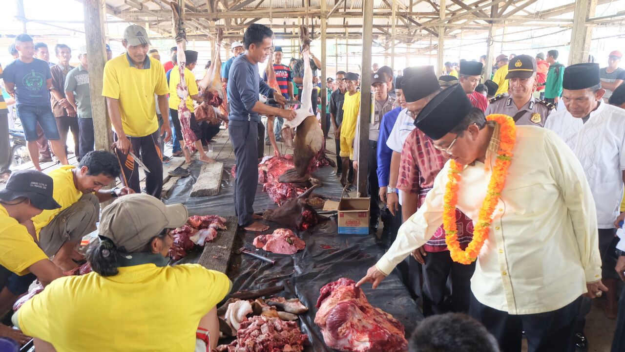 Bupati Inhil Ke Desa Teluk Kiambang, Saksikan Penyembelihan Hewan Qurban