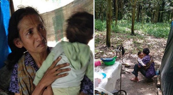SEDIH.... Seorang Ibu dan Dua Bayinya Tinggal Gubuk Plastik di Tengah Hutan Karet