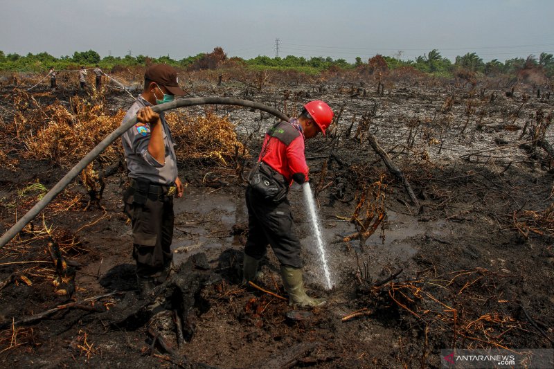Atasi Karhutla di Pesisir Riau, Polres Rohil Kerahkan 25 Personel Brimob