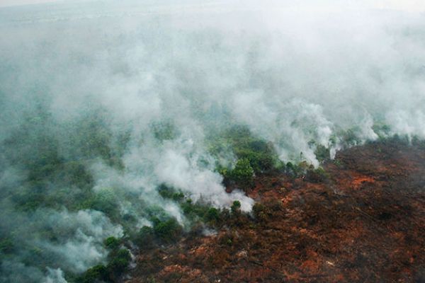 291,36 Hektare Lahan Riau Terbakar