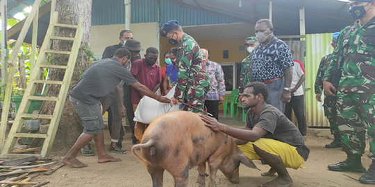 Danlanud TNI AU Merauke Berikan Seekor Babi dan Beras saat Berkunjung ke Rumah Steven