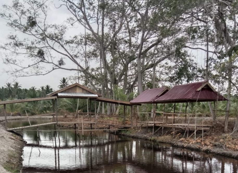 DPMD Inhil Apresiasi Wisata Baru Sungai Luar Kecamatan Batang Tuaka