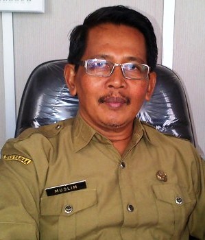 Ratusan Hektar Sawah Petani di Rohil Terendam Banjir