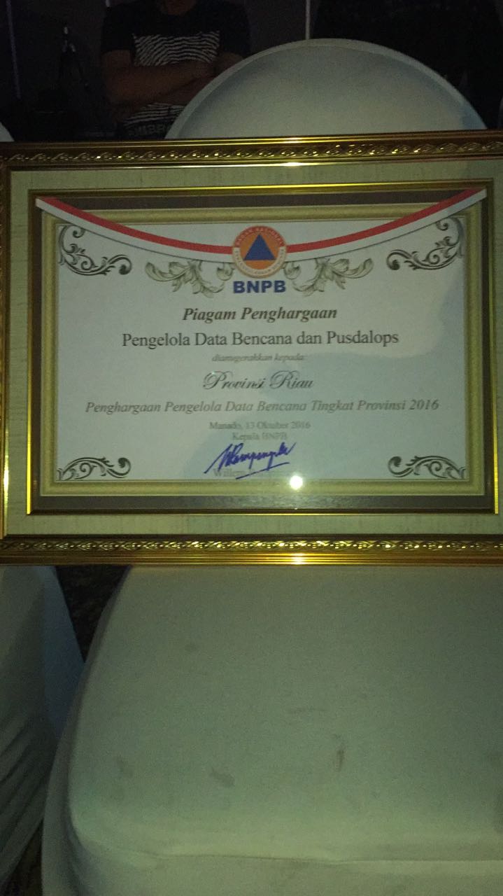 BPBD Provinsi Riau Terima Penghargaan Oleh BNPB Pusat