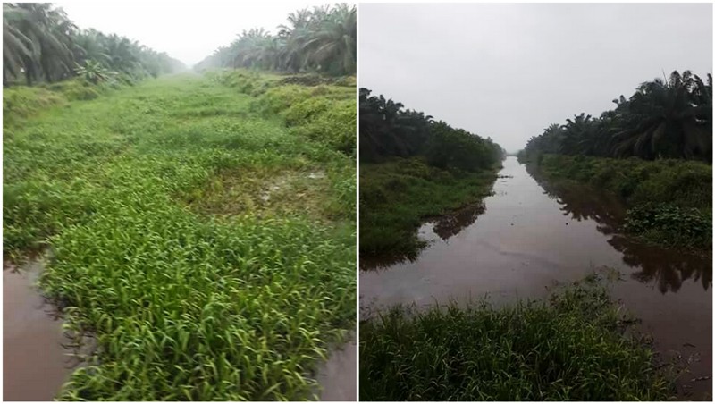 Warga Heboh, Ada Kanal 'Ajaib' di Inhil