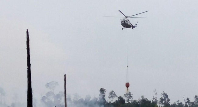 KPK Siap Bantu Siti Nurbaya Usut Kebakaran Hutan