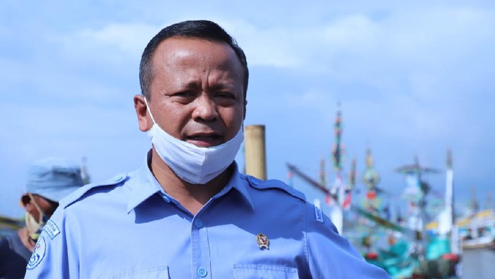 Edhy Prabowo Ditangkap KPK Terkait Ekspor Benih Lobster