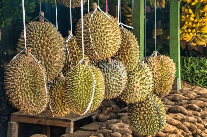 Musim Durian, Pedagang Diserbu Peminat