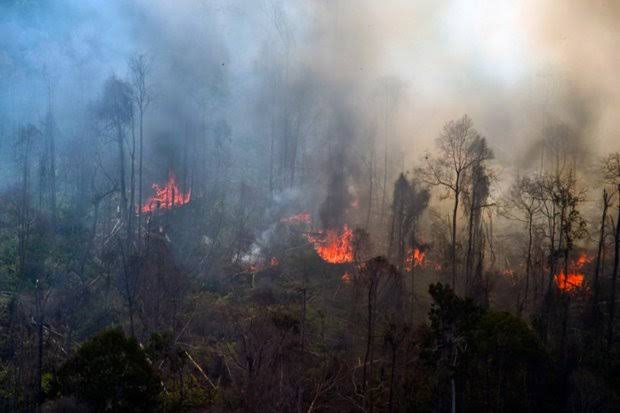 Riau Sumbang 16 Titik Api, Terbanyak Inhil