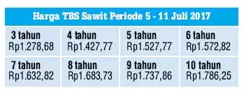 Harga TBS di Riau Masih Turun