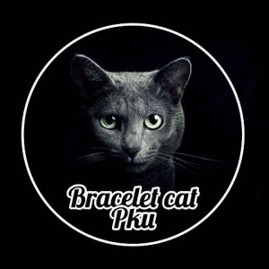 Cerita Dibalik Bracelet Cat Pekanbaru
