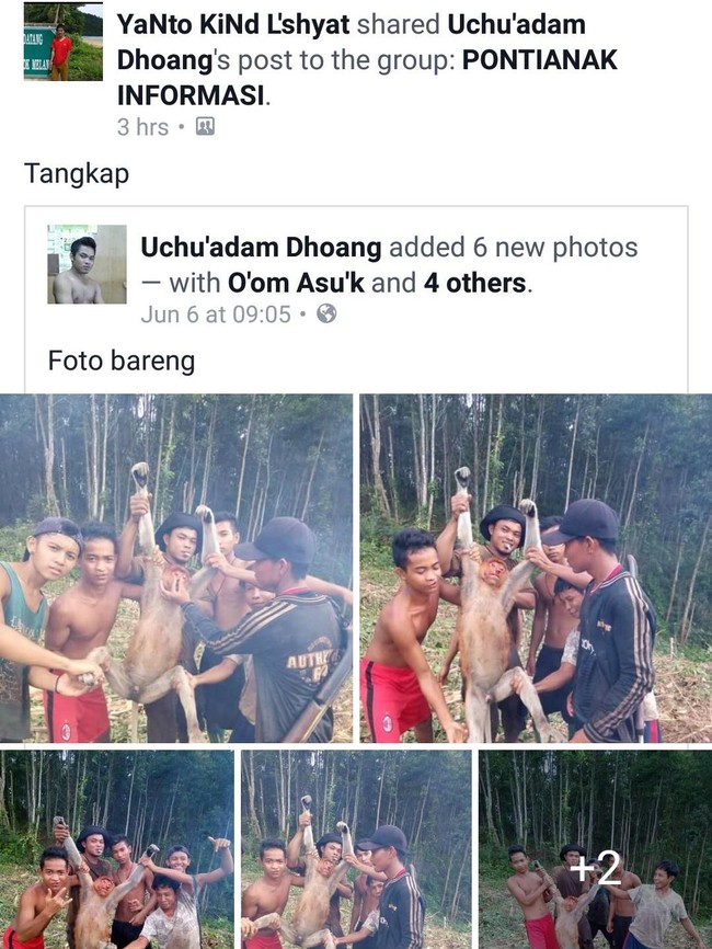 Heboh di Facebook!!! Foto Pemuda Tangkap Bekatan di Kalbar