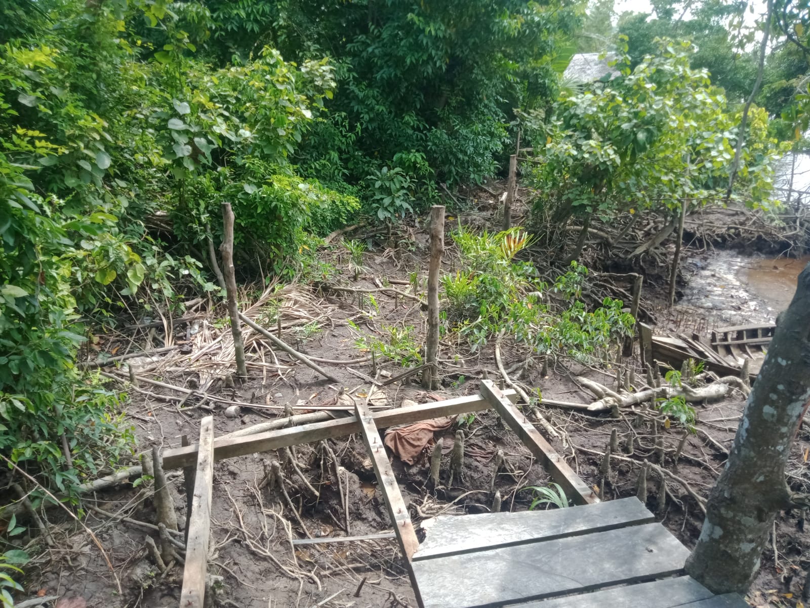 Bangunan Objek Wisata Mangrove Terbengkalai
