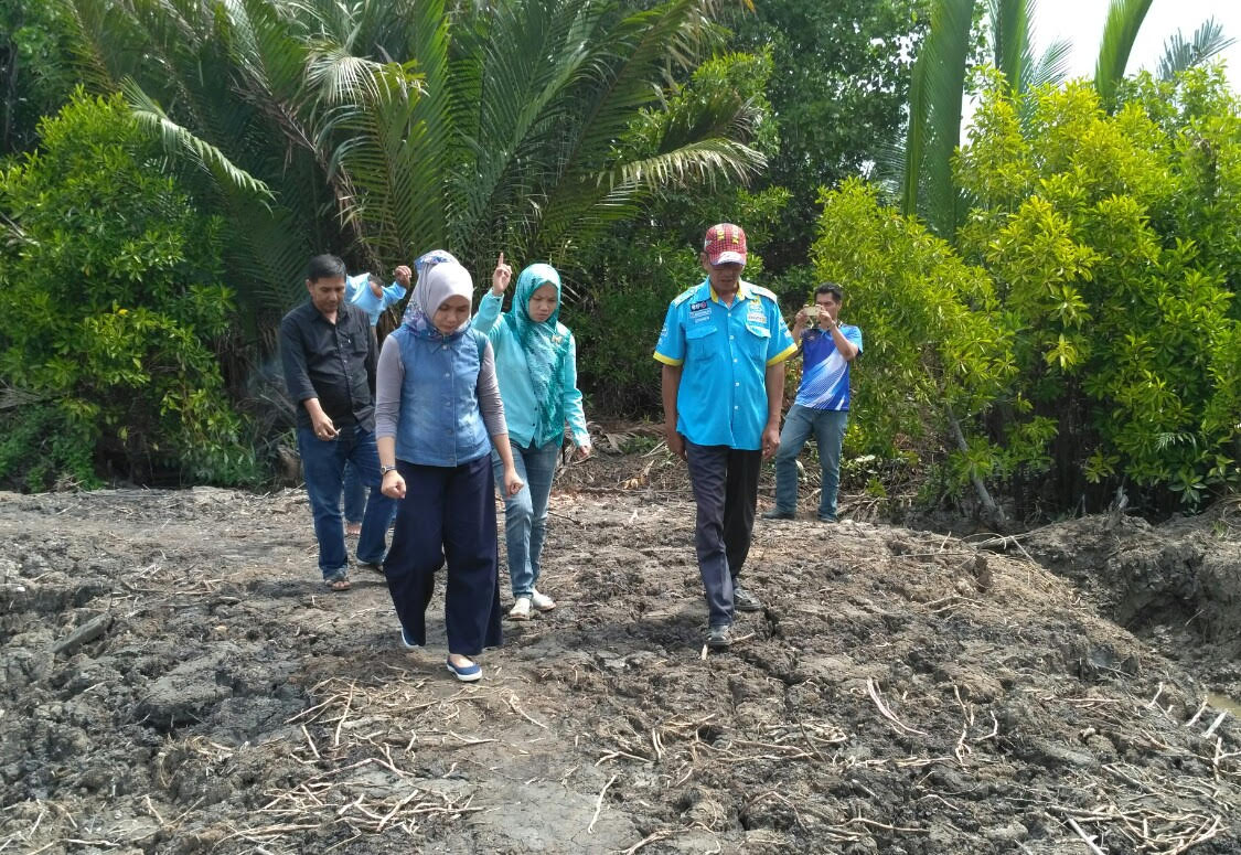 Kelompok Mangrove Pangkalan Batang Bengkalis Diusulkan Terima Penghargaan