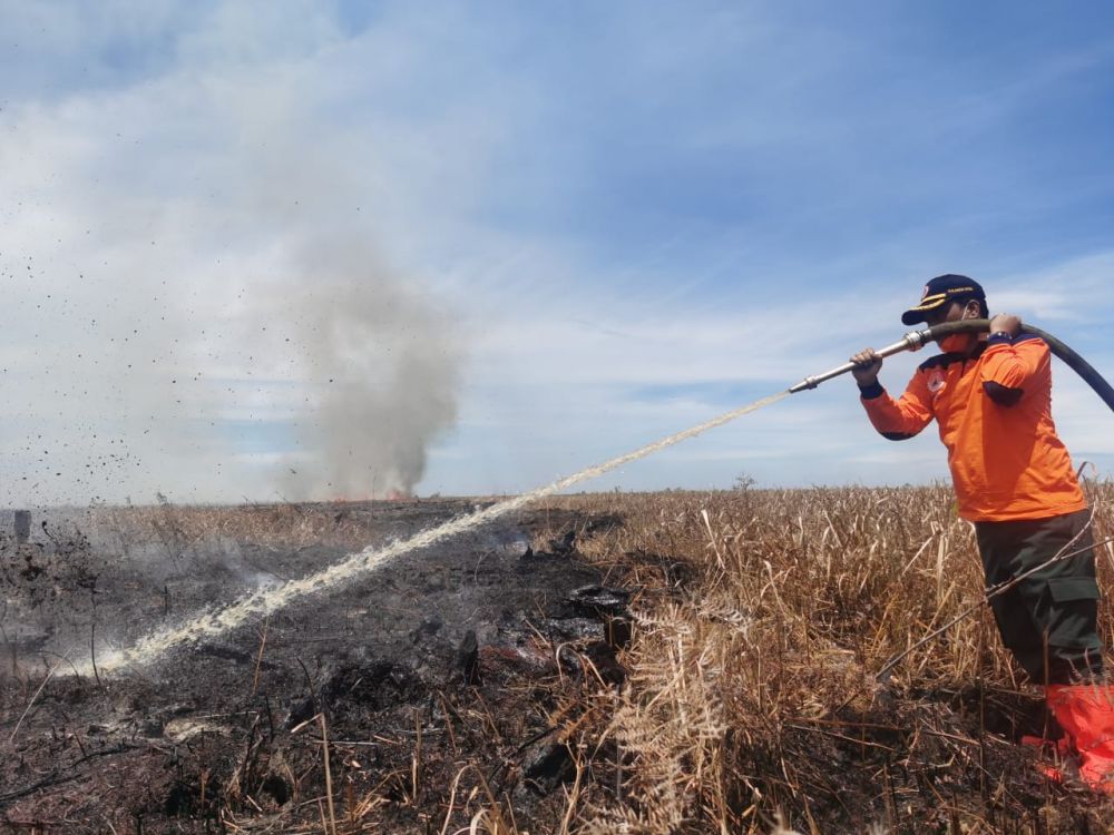 Satgas Karhutla Riau Lakukan Pendinginan Kebakaran Hutan Lindung Bukit Suligi