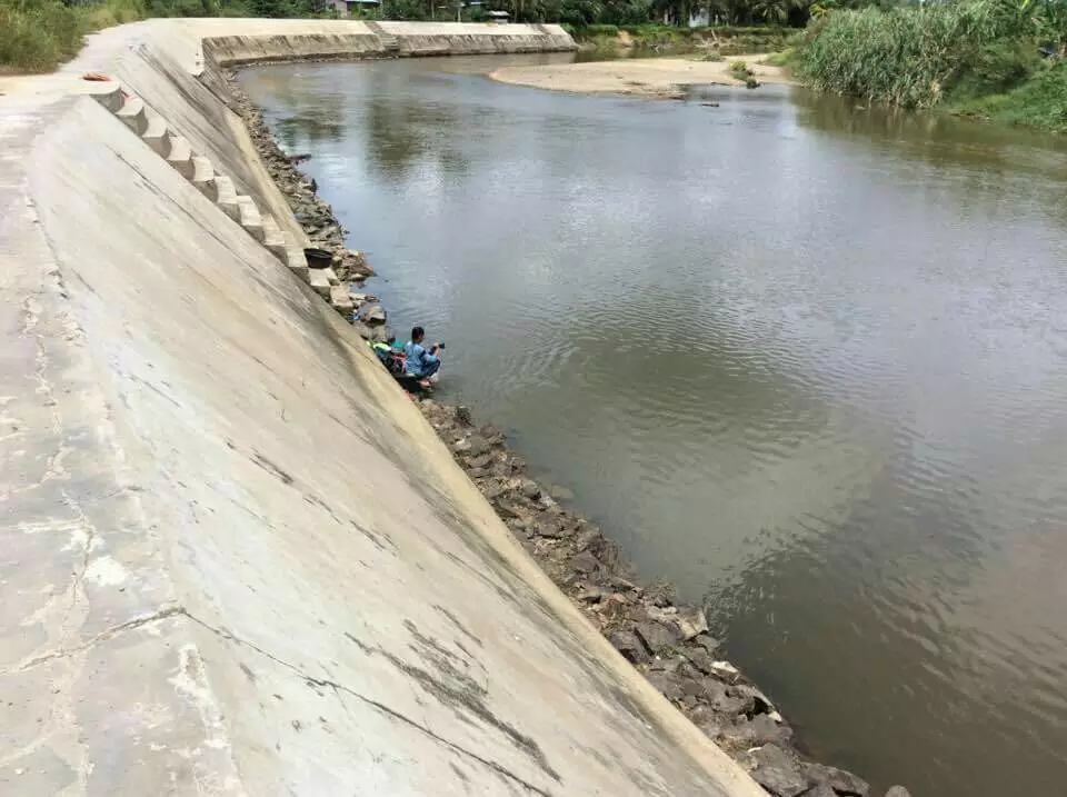 Buaya Muncul Sungai Batang Lubuh, Warga: Ada Tanda-tanda Tidak Beres