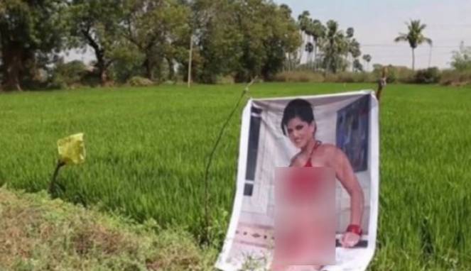 Usai Pasang Poster Bintang Film 'Panas', Hasil Panen Berlimpah