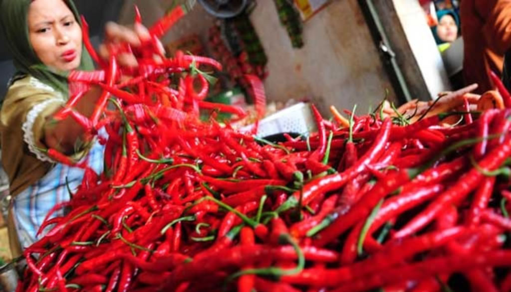 Rumah Makan Keluhkan Cabai Mahal Tembus Rp80.000/kg