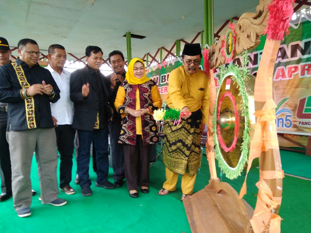 Yoserizal Zen Sebut Pelestarian Budaya Butuh Anggaran