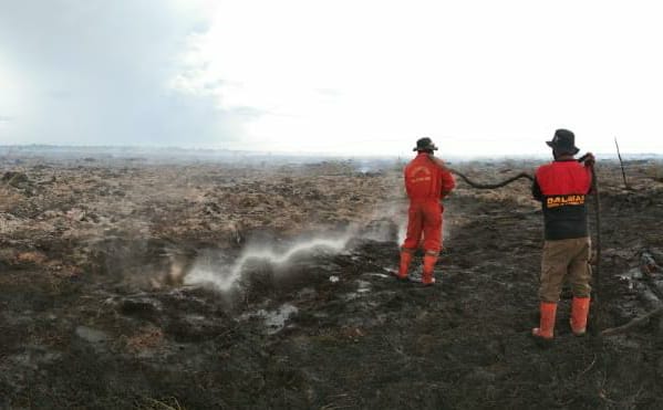 Strategi Satgas Karhutla Riau Padamkan Kebakaran di 4 Kabupaten/Kota